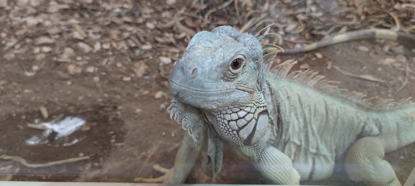 Photo n° 2 de l'avis de Sarah.e fait le 28/08/2023 à 17:53