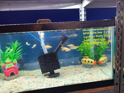 Pet Store «All About Pets LLC», reviews and photos, 52567 Columbia River Hwy, Scappoose, OR 97056, USA