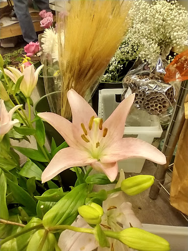 Florist «Grace Harper Florist, Inc.», reviews and photos, 4135 Woodward Ave, Detroit, MI 48201, USA