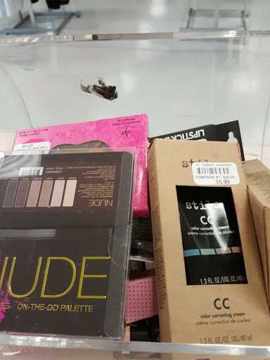 Department Store «Bealls Outlet», reviews and photos, 2738 W Hillsborough Ave, Tampa, FL 33614, USA