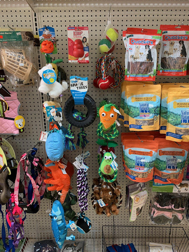 Pet Supply Store «Pet Supplies of Bayside», reviews and photos, 224-25 Union Tpke, Oakland Gardens, NY 11364, USA
