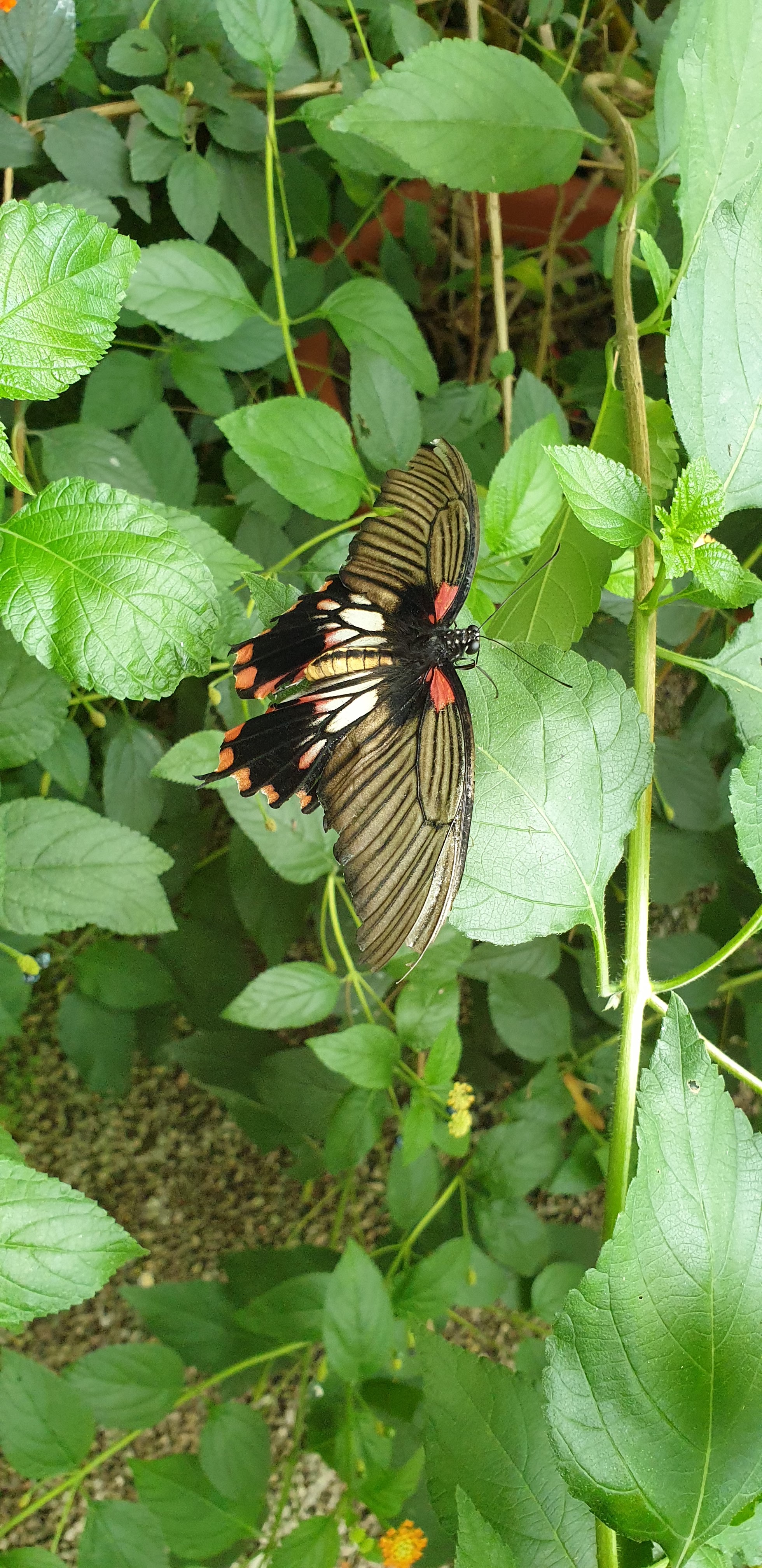 Photo n° 5 de l'avis de Severine.o fait le 30/07/2019 à 11:31
