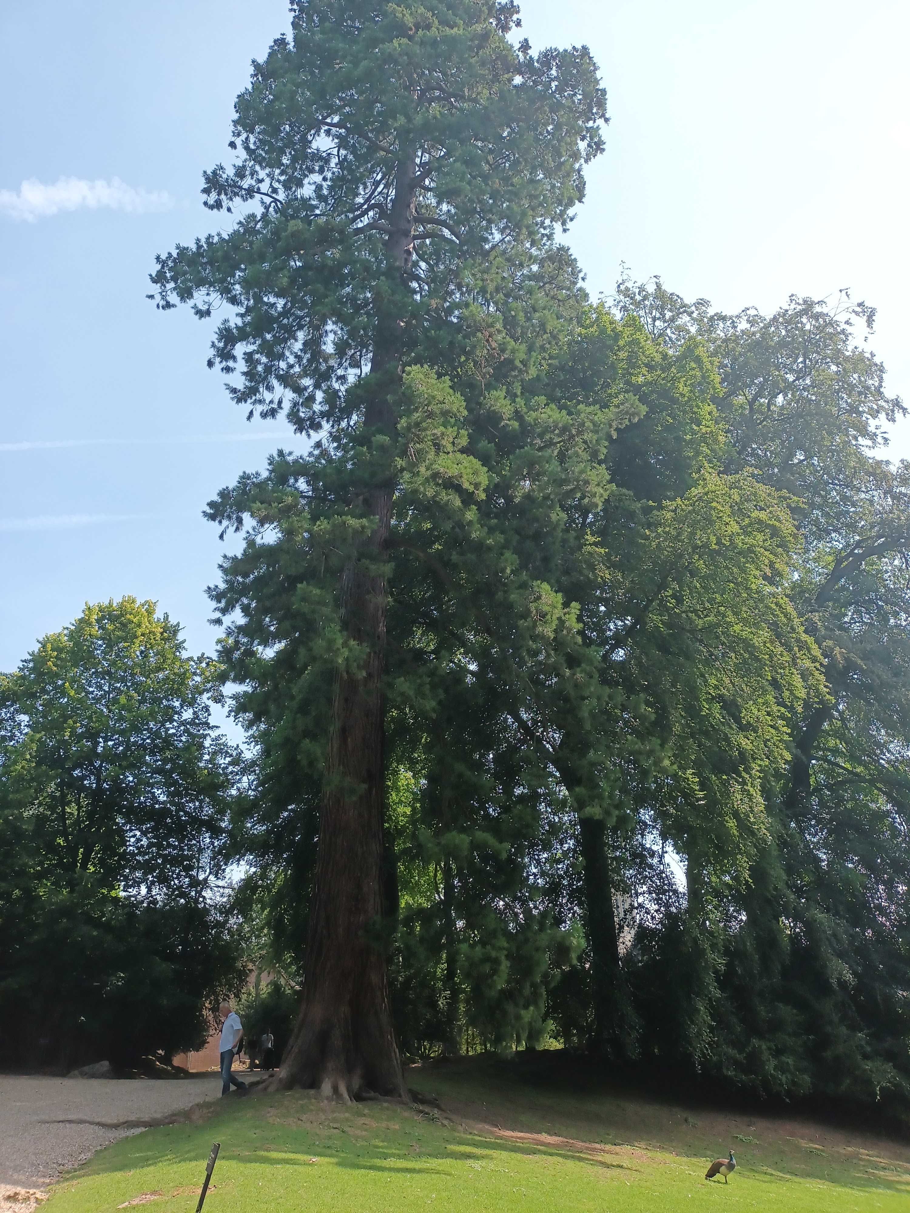 Photo n° 7 de l'avis de daniel.a fait le 28/06/2023 à 18:17