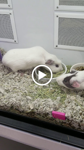 Pet Supply Store «Petco Animal Supplies», reviews and photos, 2350 Central Park Ave, Yonkers, NY 10710, USA