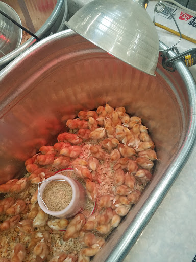 Home Improvement Store «Tractor Supply Co.», reviews and photos, 2000 Lakeville Hwy a, Petaluma, CA 94954, USA