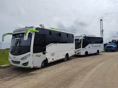 Turismo-buses-busetas-microbuses-gonzalez