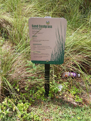 S-Line Urban Greenway Boulevard St Trailhead
