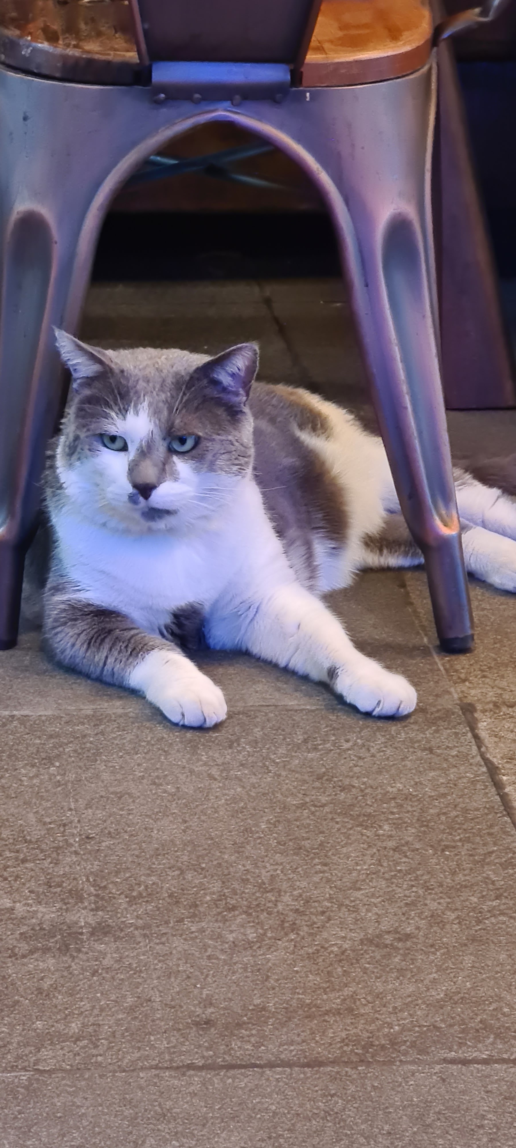 Photo n° 1 de l'avis de Lisa.e fait le 30/06/2022 à 16:44