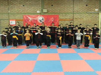 Escuela de Wushu Kung Fu