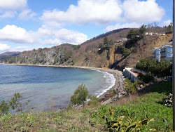Foto von Pine Coast beach mit sehr sauber Sauberkeitsgrad