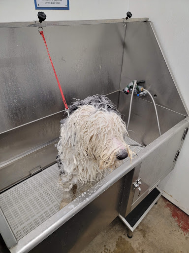 Home Improvement Store «Tractor Supply Co.», reviews and photos, 1437 E M 21, Owosso, MI 48867, USA