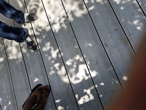 Rowing Club «Atlantic Coast Kayak Company», reviews and photos, 1937 Wilton Dr, Wilton Manors, FL 33305, USA