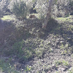 Photo n°1 de l'avis de Simone.a fait le 10/04/2019 à 17:34 sur le  River Park Hotel à Fiumaretta di Ameglia