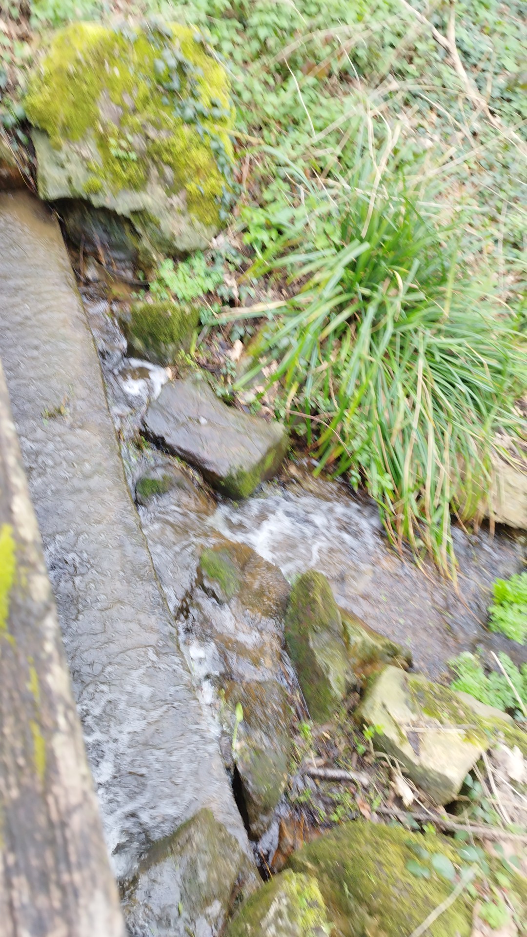 Photo n° 22 de l'avis de Eric.o fait le 09/05/2019 à 04:42