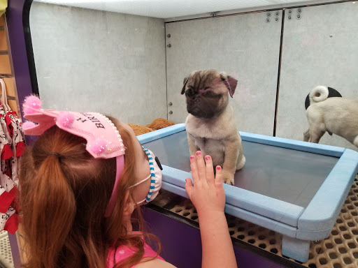 Pet Store «Pet City Pet Shops», reviews and photos, 750 Citadel Dr N # 2092, Colorado Springs, CO 80909, USA