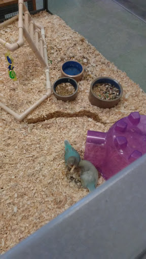 Pet Store «Friendly Pets», reviews and photos, 625 Friendly Center Rd, Greensboro, NC 27408, USA