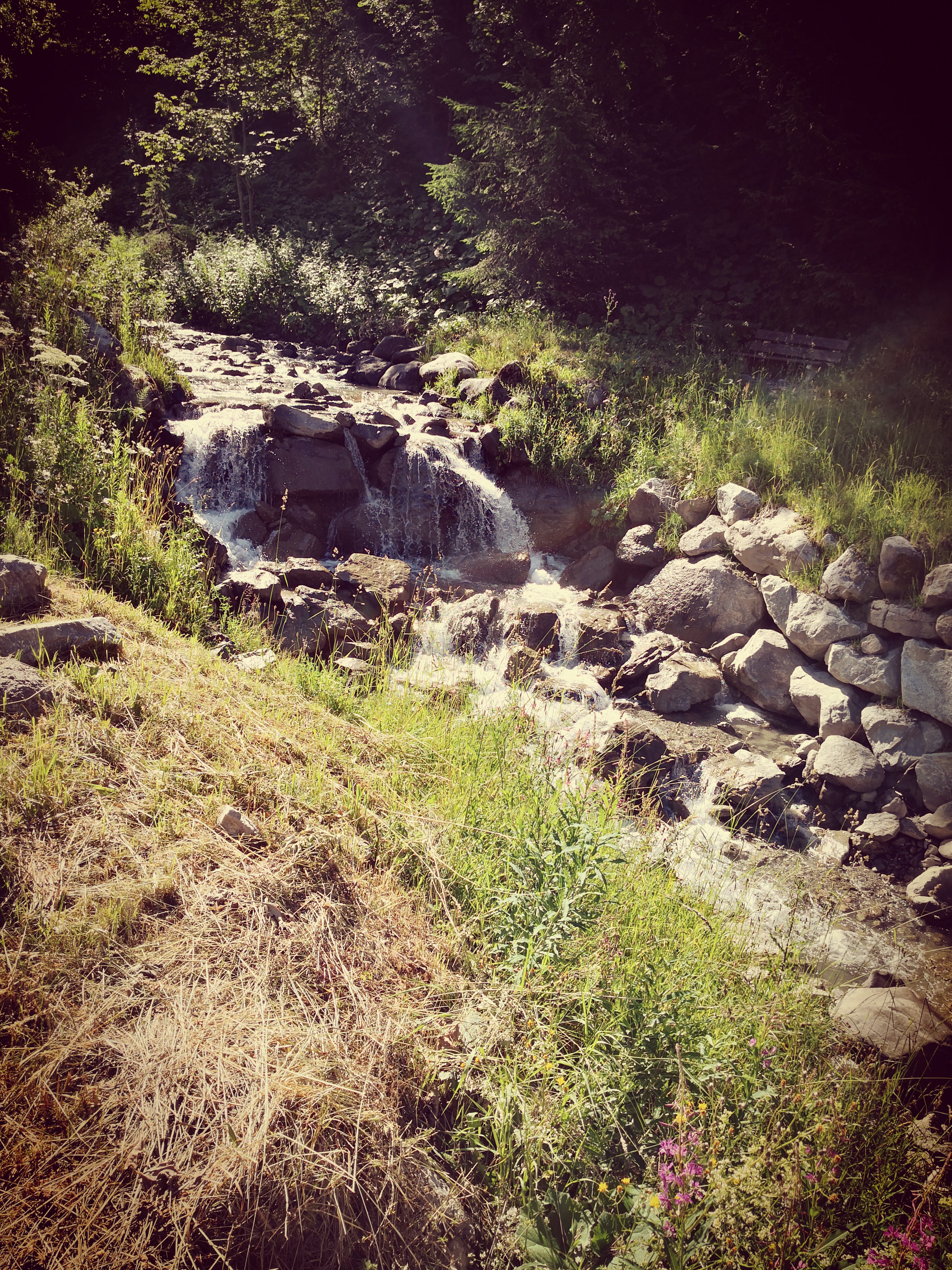 Photo n° 4 de l'avis de Dadie.l fait le 19/07/2020 à 17:47