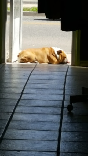 Tobacco Shop «Blown Glass Gifts», reviews and photos, 236 E Bridge St Unit A, Brighton, CO 80601, USA