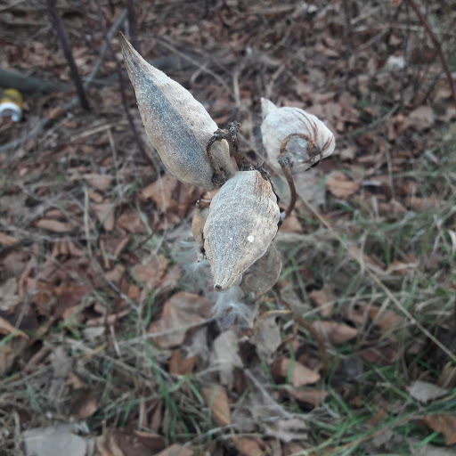 Park «Mutual Riverfront Park», reviews and photos, 41 Hamburg St, Buffalo, NY 14204, USA