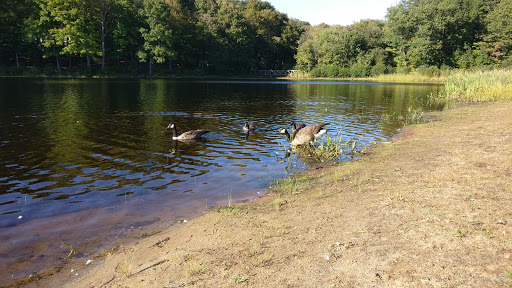 Park «Bethany Veterans Memorial Park», reviews and photos, 265 Beacon Rd, Bethany, CT 06524, USA