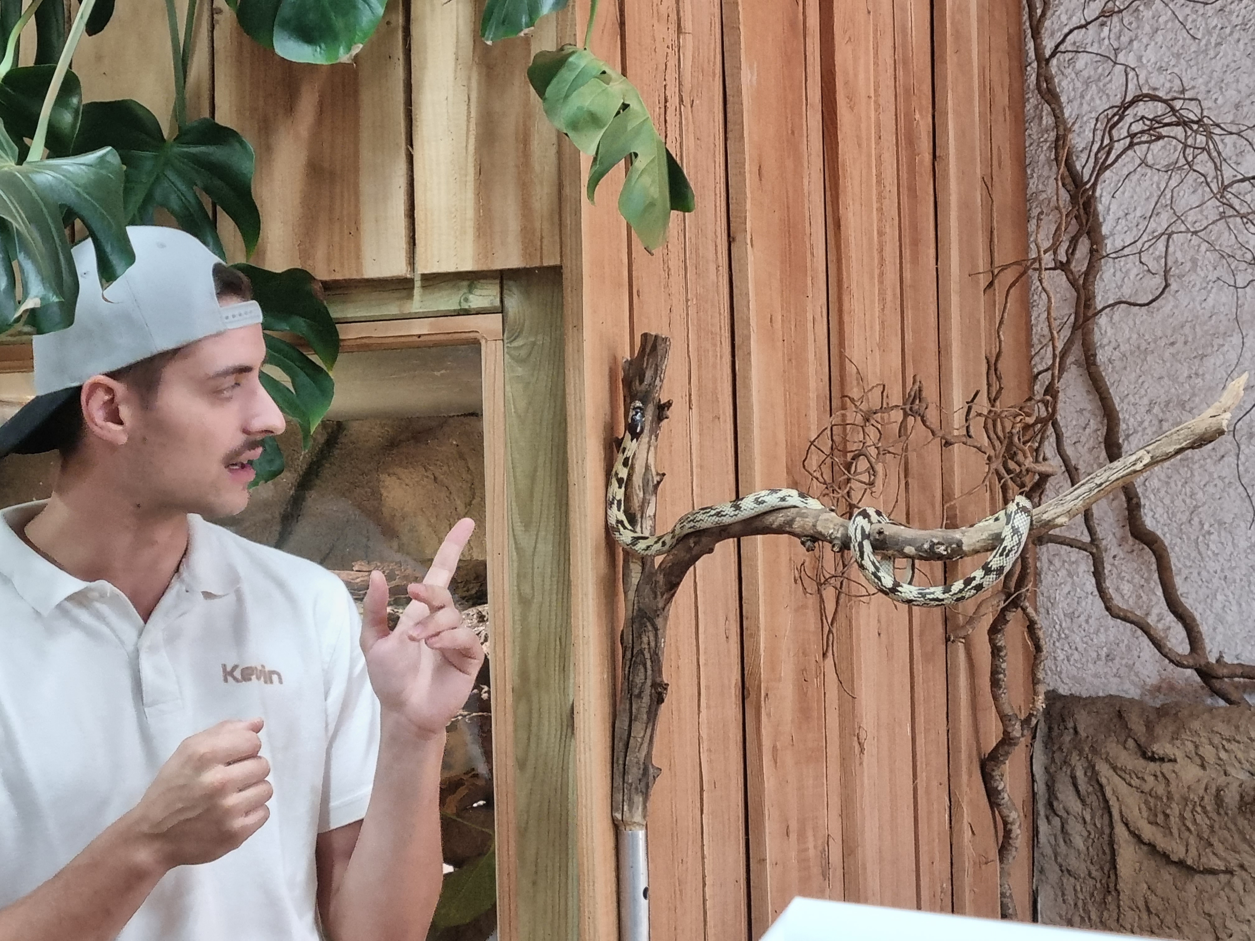 Photo n° 4 de l'avis de Zoé.o fait le 25/08/2023 à 10:24