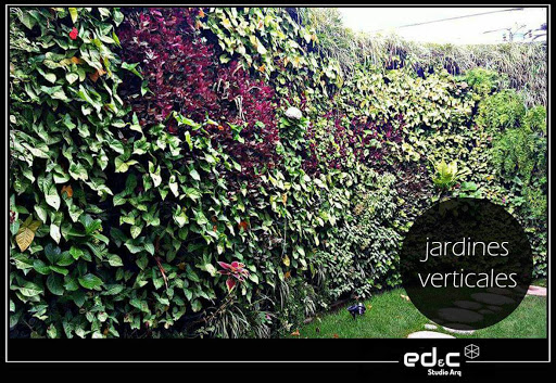 ED&C Studio Arq. Jardines Verticales ALMA VERDE