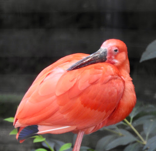 Zoo «Brandywine Zoo», reviews and photos, 1001 N Park Dr, Wilmington, DE 19802, USA