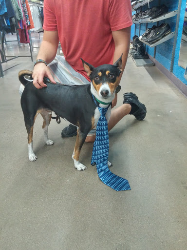 Thrift Store «Thunderbird & Scottsdale Goodwill Retail Store & Donation Center», reviews and photos, 14202 N Scottsdale Rd, Scottsdale, AZ 85254, USA