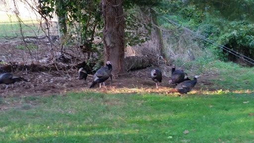 Golf Course «Dunwoodie Golf Course», reviews and photos, 1 Wasylenko Ln, Yonkers, NY 10701, USA