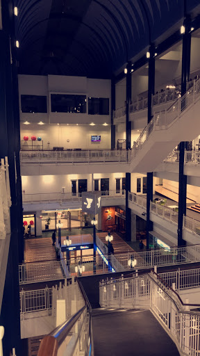 Shopping Mall «Gaviidae Common», reviews and photos, 651 Nicollet Mall #125, Minneapolis, MN 55402, USA