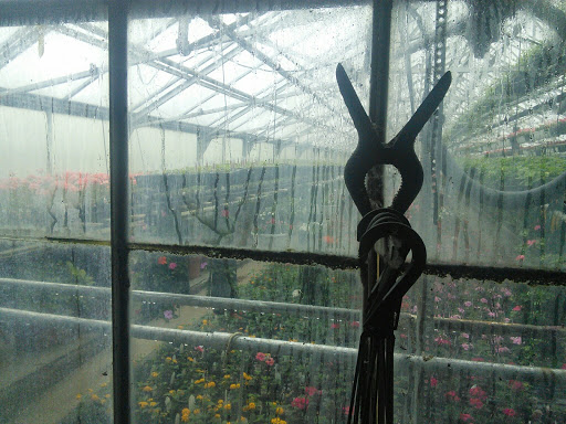 Florist «Pletschers», reviews and photos, 641 Old Hwy 8 SW, New Brighton, MN 55112, USA