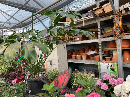 Hardware Store «Proctor Ace Hardware», reviews and photos, 1281 Atlantic Blvd, Neptune Beach, FL 32266, USA