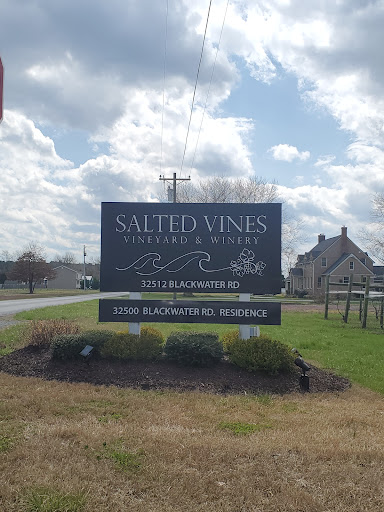 Winery «Salted Vines Vineyard & Winery», reviews and photos, 32512 Rd 374, Frankford, DE 19945, USA