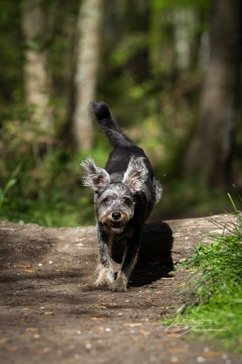 Tierarztpraxis am Futterhaus unter Holzwickede, 