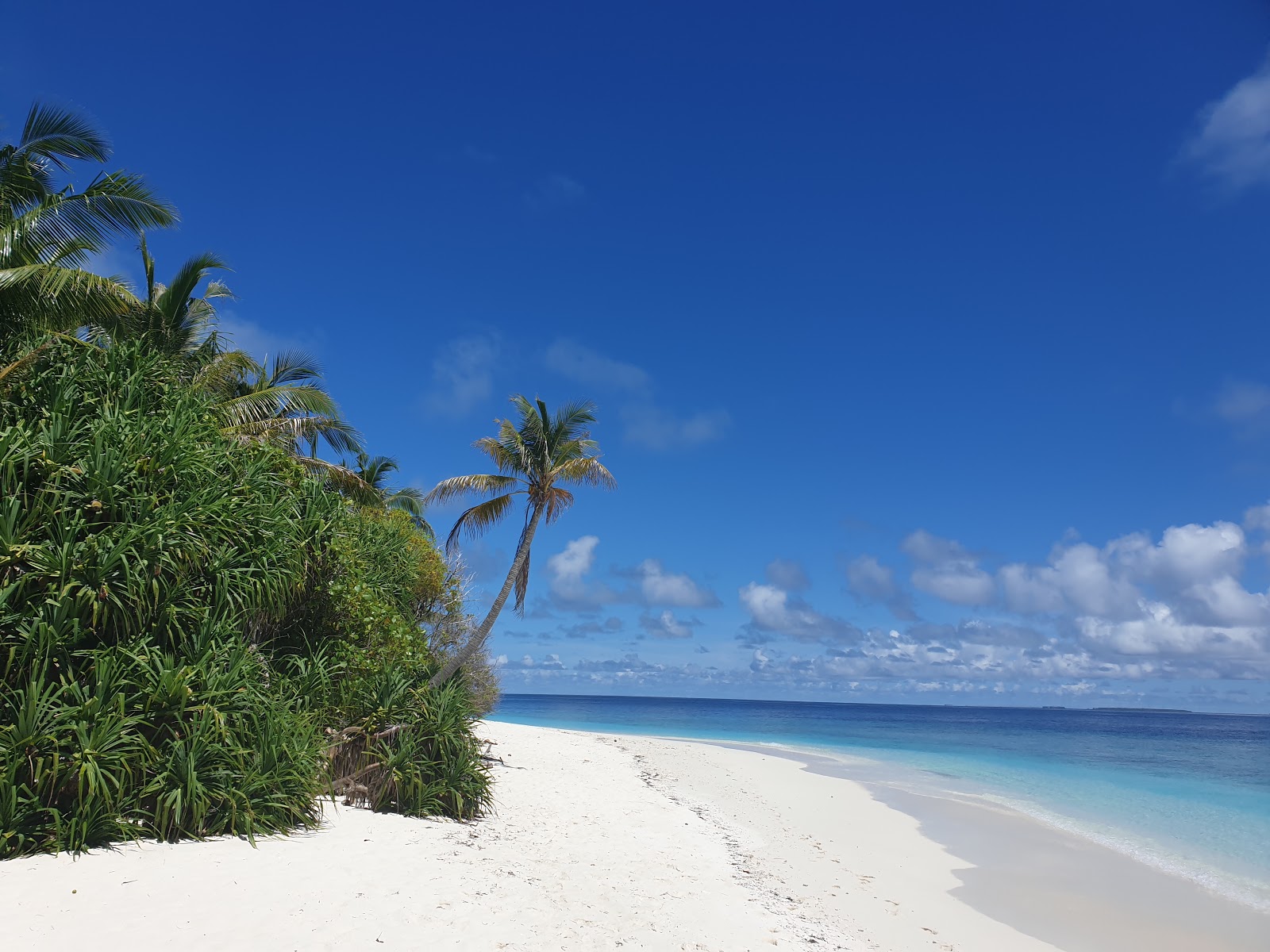 Enboodhoo Island Beach的照片 带有碧绿色纯水表面