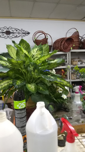 Florist «The Flower Shop», reviews and photos, 437 S Main St, Boerne, TX 78006, USA