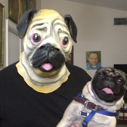 Pet Store «Puppy Boutique Store», reviews and photos, 4001 N Federal Hwy, Fort Lauderdale, FL 33308, USA