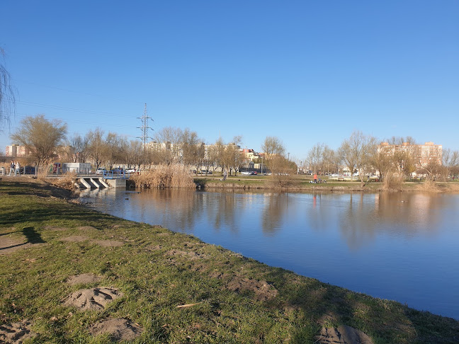 Székesfehérvári Királyok parkja