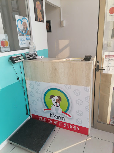 K'aan Clínica Veterinaria