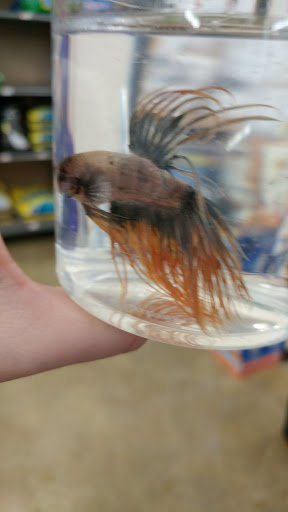 Pet Supply Store «Pet Supplies Plus», reviews and photos, 531 Monroe Ave, Rochester, NY 14607, USA