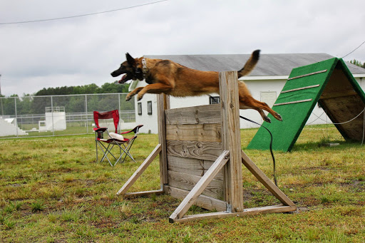 Personal Injury Attorney «Atkinson Law - Serious Personal Injury», reviews and photos