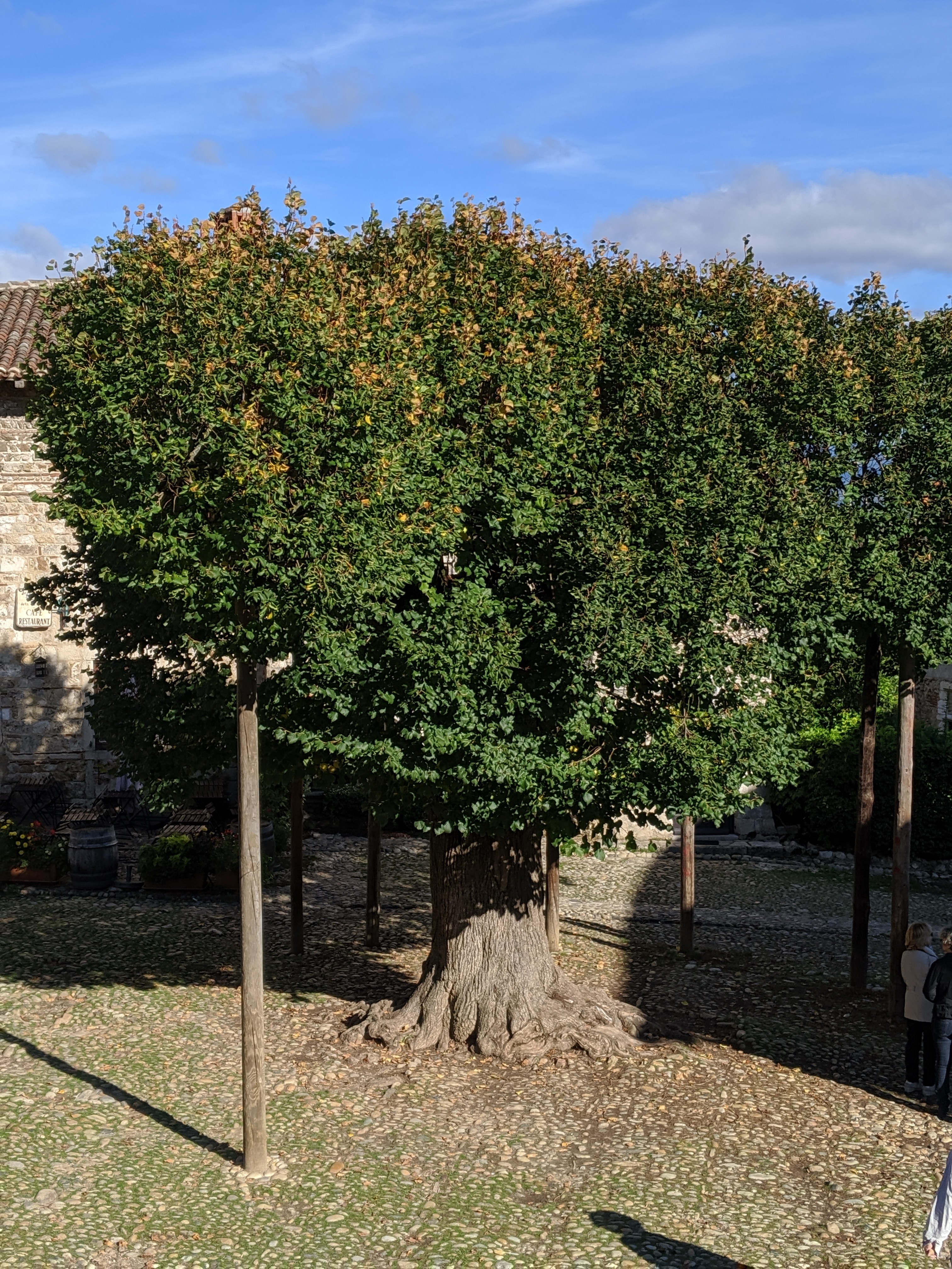 Photo n° 2 de l'avis de Babulin.a fait le 27/10/2019 à 11:34