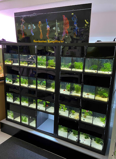 Aquaristik-Studio Heimrich unter Bad Soden-Salmünster, 