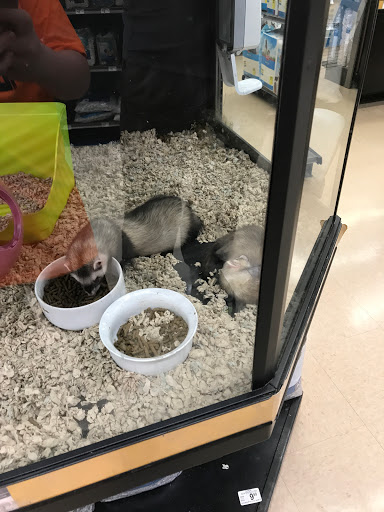 Pet Supply Store «Petco Animal Supplies», reviews and photos, 5631 Grove Blvd, Hoover, AL 35226, USA