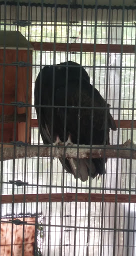 Government Office «Bear Hollow Wildlife Trail», reviews and photos, 293 Gran Ellen Dr, Athens, GA 30606, USA