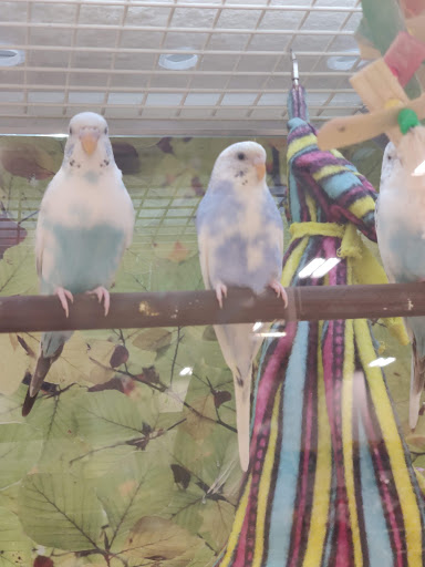 Pet Supply Store «PetSmart», reviews and photos, 73 RHL Blvd, South Charleston, WV 25309, USA