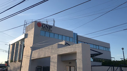 GNP Seguros Supervisoría Veracruz