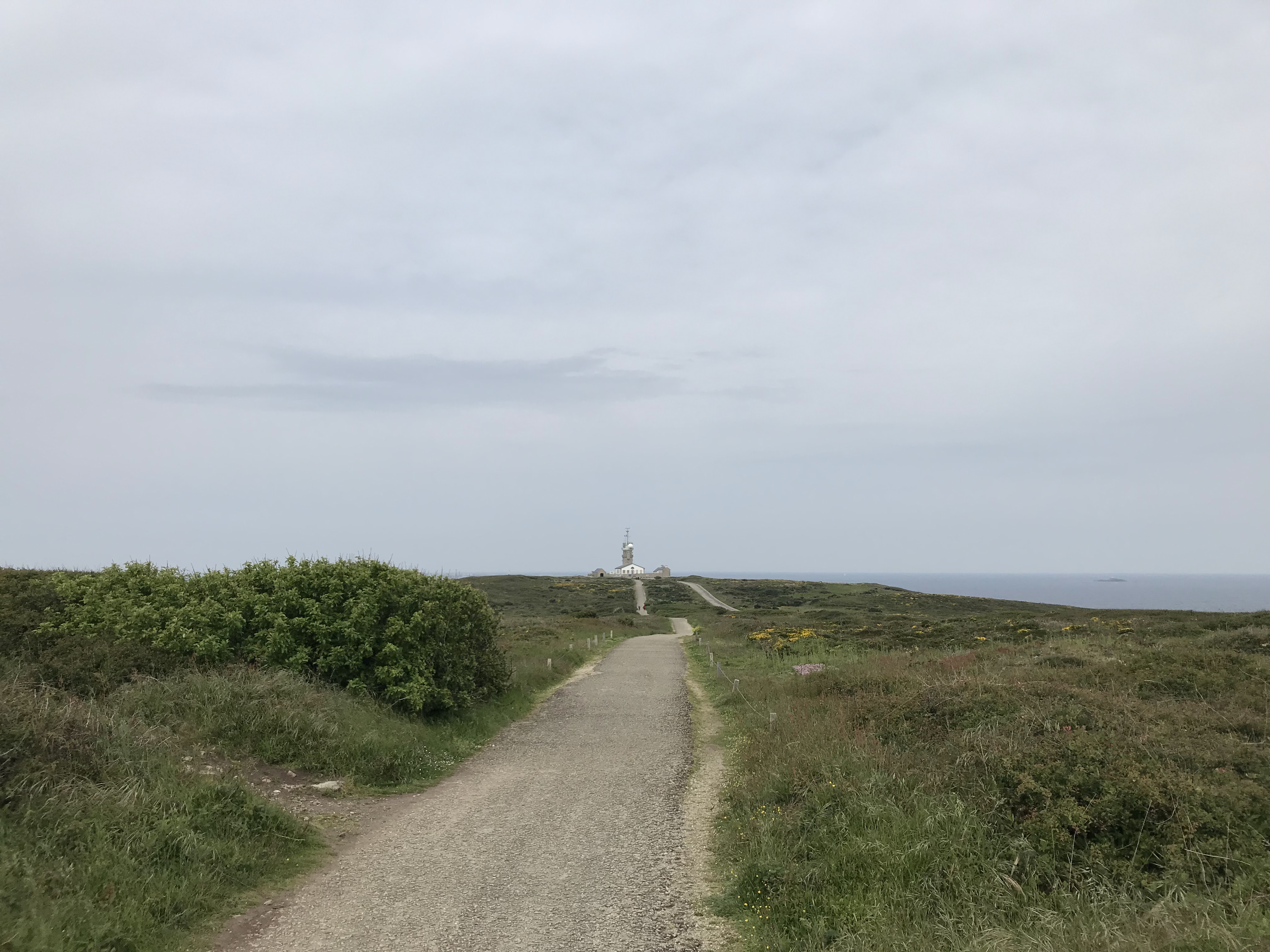 Photo n° 2 de l'avis de Alb. fait le 19/05/2019 à 14:56