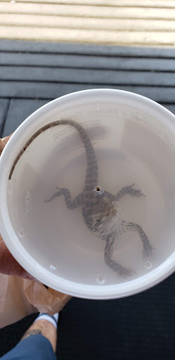 Pet Supply Store «PetSmart», reviews and photos, 4300 E Alameda Ave, Glendale, CO 80246, USA