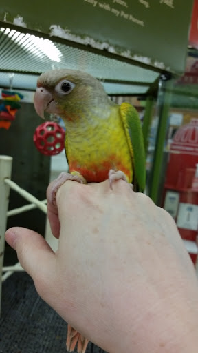 Pet Supply Store «Petco Animal Supplies», reviews and photos, 5631 Grove Blvd, Hoover, AL 35226, USA